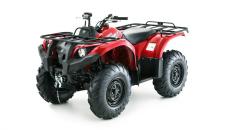 Grizzly 450 IRS, Yamaha Grizzly 450 IRS, ATV Grizzly 450 IRS, čtyřkolka Yamaha Grizzly