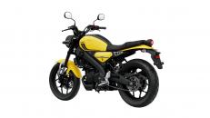 Yamaha Zlín XSR 125, technik motosport