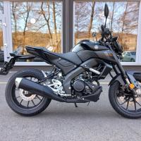 Yamaha Zlín MT-125, technik motosport